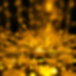 Visual representation of different types of crypto nodes