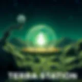 Overview of Terra Station Chrome Extension Overview of Terra Station Chrome Extension