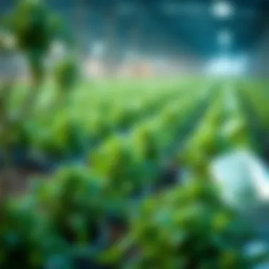 Notable Understanding Yield Farming in Cryptocurrency