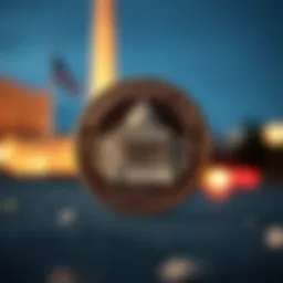 Detailed representation of Washington DC Coin