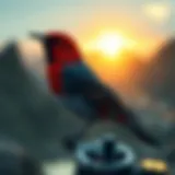 Overview of Songbird cryptocurrency